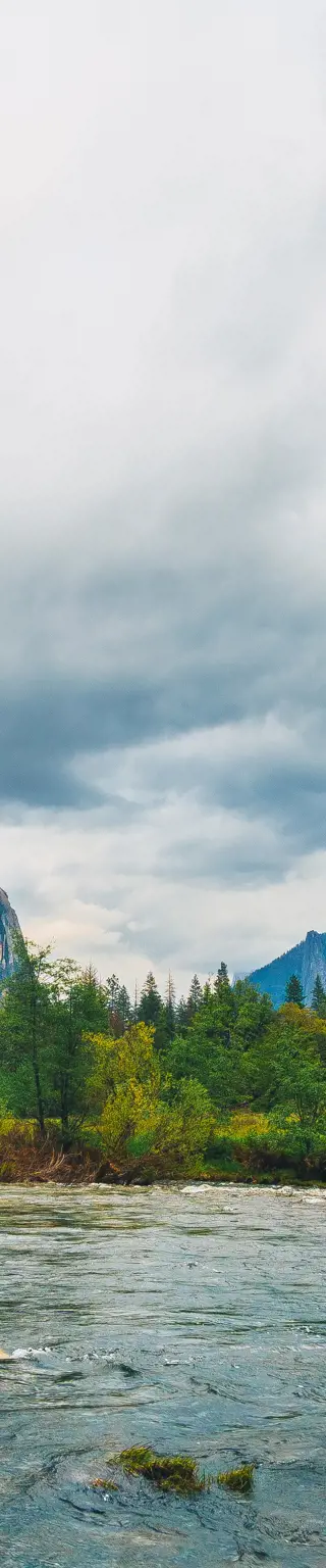 Auf Spurensuche im Yosemite Nationalpark